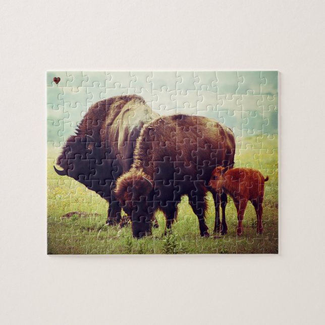 Buffalo and Calf Oklahoma Jigsaw Puzzle (Horizontal)