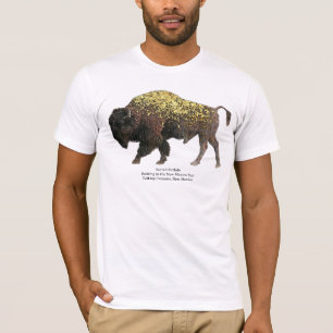 Buffalo Basking in New Mexico Sun T-Shirt