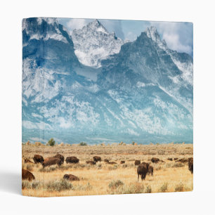 Buffalo Below the Grand Teton Mountains Binder