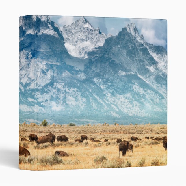 Buffalo Below the Grand Teton Mountains Binder (Front/Spine)