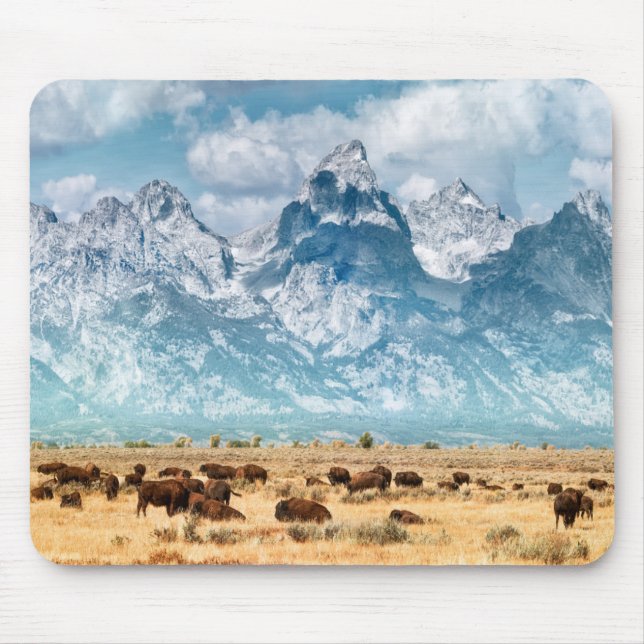 Buffalo Below the Grand Teton Mountains Mouse Pad (Front)