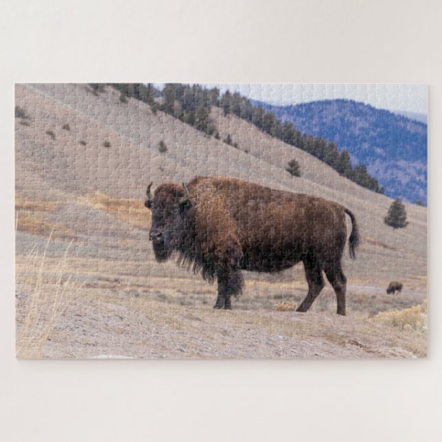 Buffalo Bison American Wildlife Jigsaw Puzzle (Horizontal)