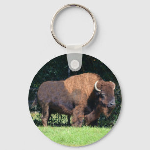 Buffalo (Bison) Kansas, Oklahoma, Wyoming Keychain