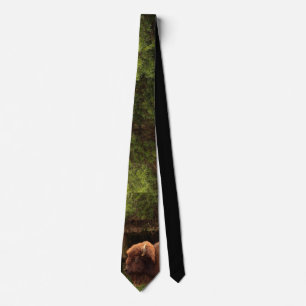 Buffalo (Bison) Kansas, Oklahoma, Wyoming Tie