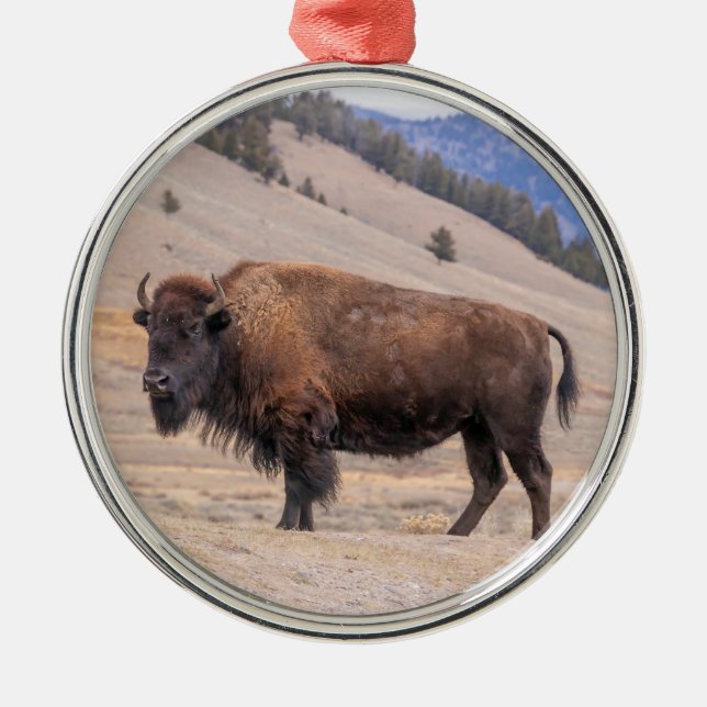 Buffalo Bison Oranment Metal Ornament (Front)
