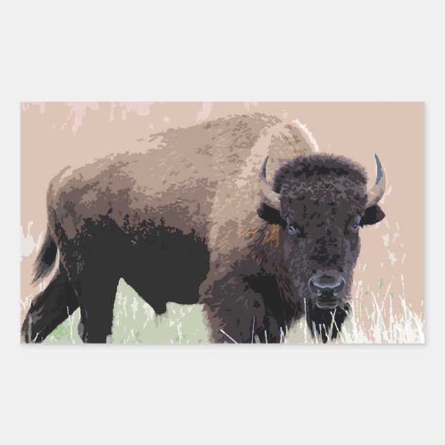 Buffalo / Bison Sticker (Front)