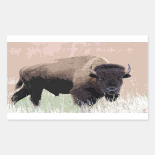 Buffalo / Bison Sticker