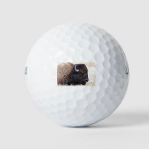 Buffalo Bison Up Close Golf Balls