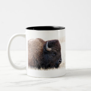 Buffalo Bison Up Close Two-Tone Coffee Mug
