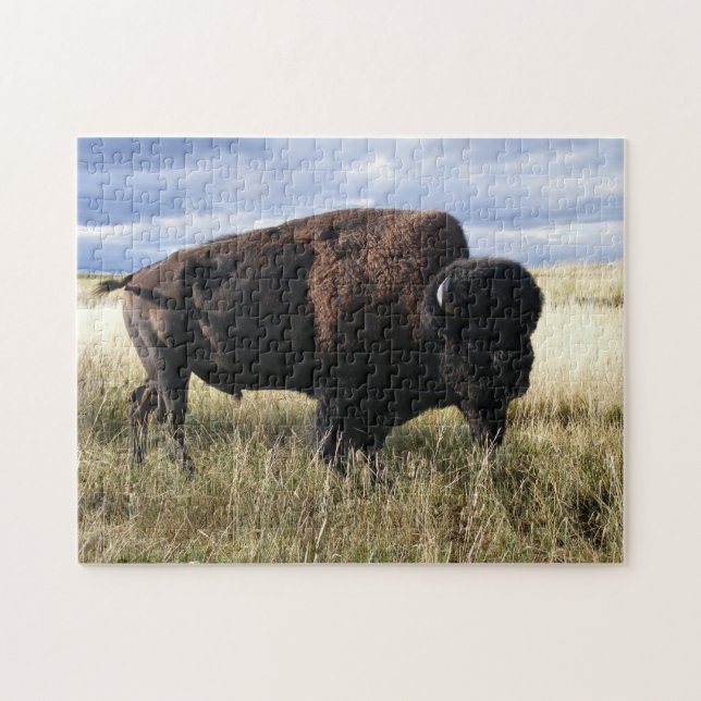 Buffalo Bull Jigsaw Puzzle (Horizontal)