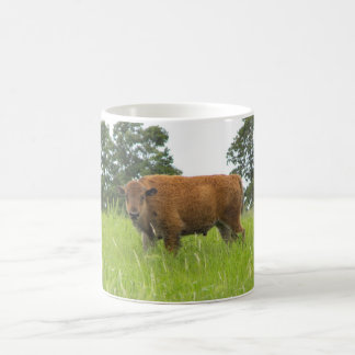 Buffalo Calf Coffee Mug