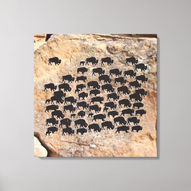 Buffalo Canvas Print (Front)