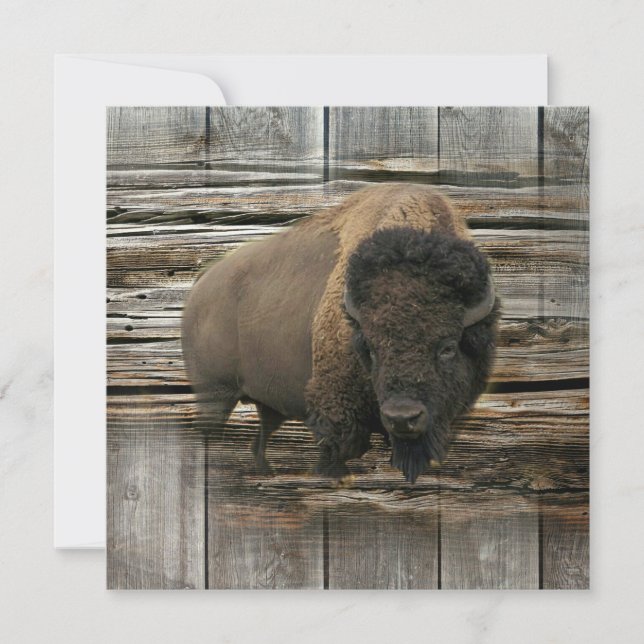 Buffalo Card (Front)