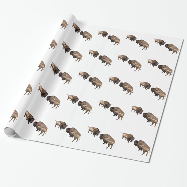Buffalo Challenge Wrapping Paper (Unrolled)