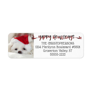 Buffalo Check YAPPY HOWLIDAYS Dog Photo