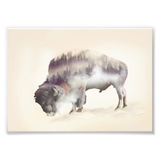 Buffalo-double exposure-american buffalo-landscape photo print