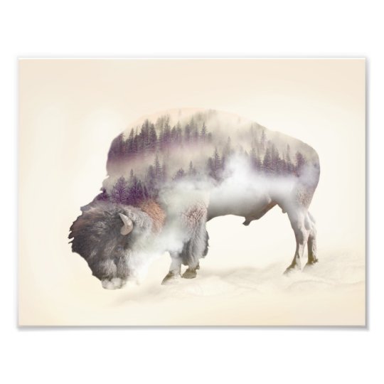 Buffalo-double exposure-american buffalo-landscape photo print
