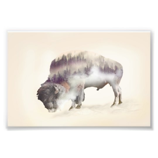 Buffalo-double exposure-american buffalo-landscape photo print