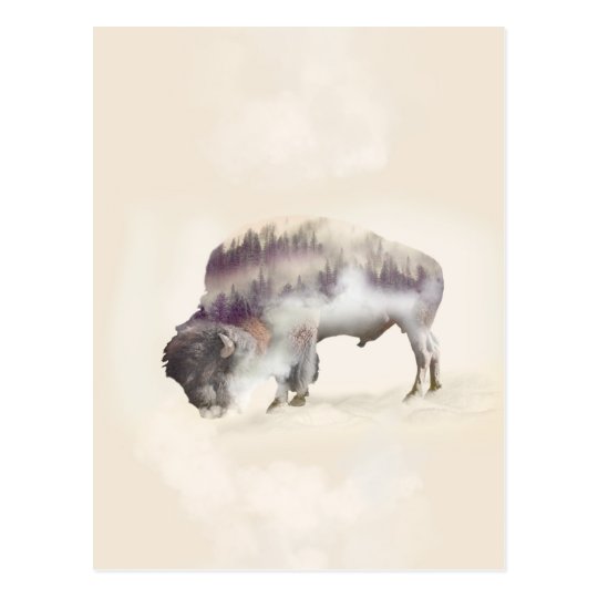 Buffalo-double exposure-american buffalo-landscape postcard