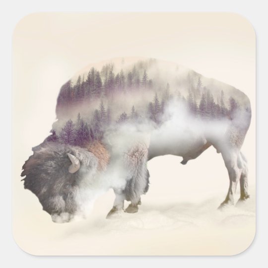 Buffalo-double exposure-american buffalo-landscape square sticker