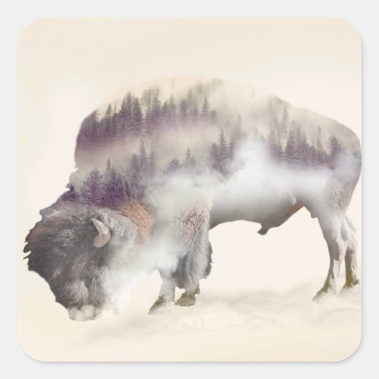 Buffalo-double exposure-american buffalo-landscape square sticker