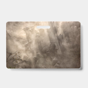 Buffalo dust badge
