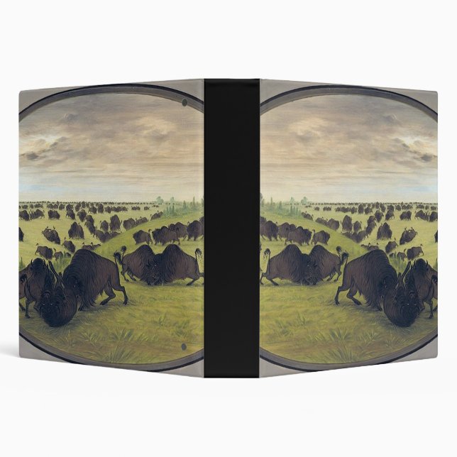 Buffalo fighting binder (Background)