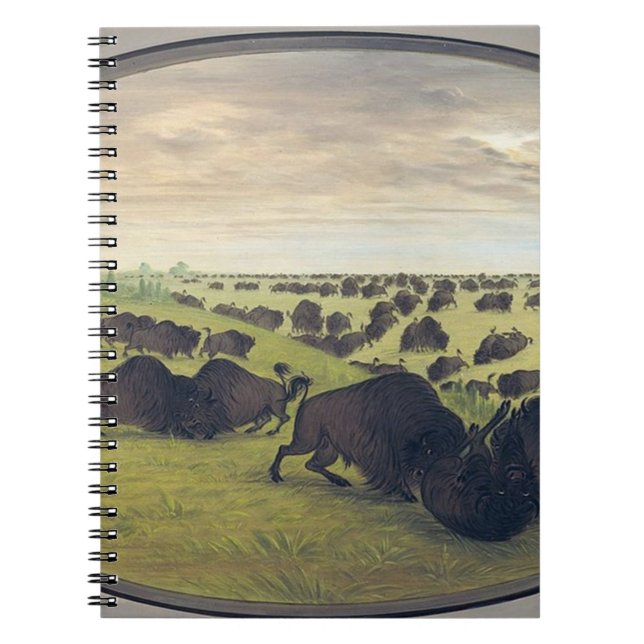 Buffalo fighting notebook (Front)