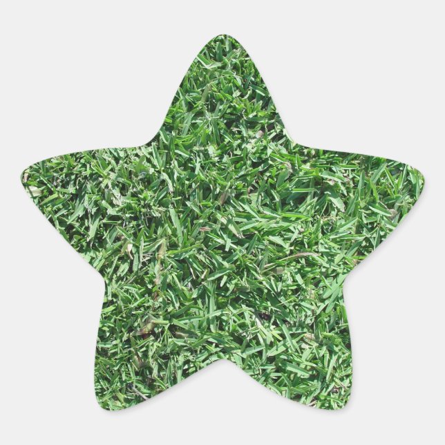 Buffalo grass star sticker (Front)