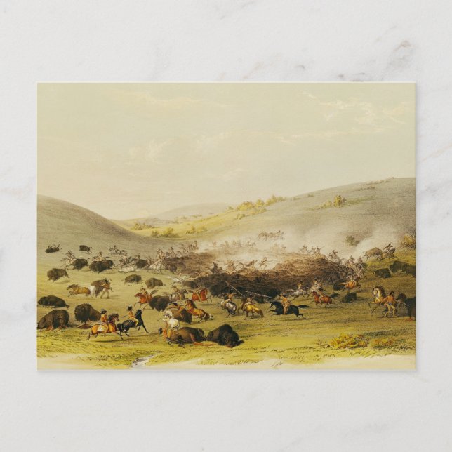 Buffalo Hunt, Surround, c.1832 Postcard (Front)