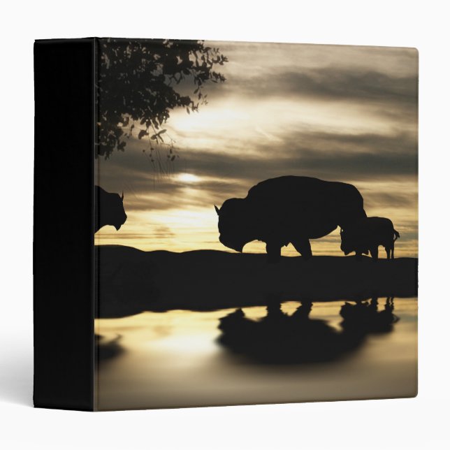 Buffalo in the sunset binder (Front/Spine)