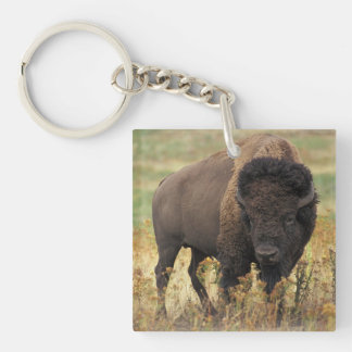 Buffalo Keychain