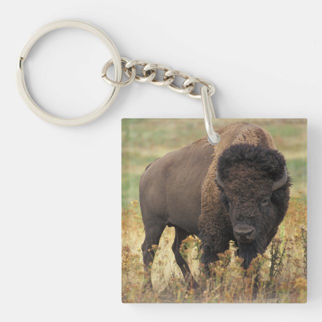 Buffalo Keychain (Front)