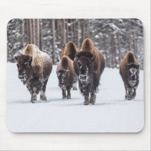 Buffalo Mouse Pad
