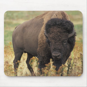Buffalo Mouse Pad