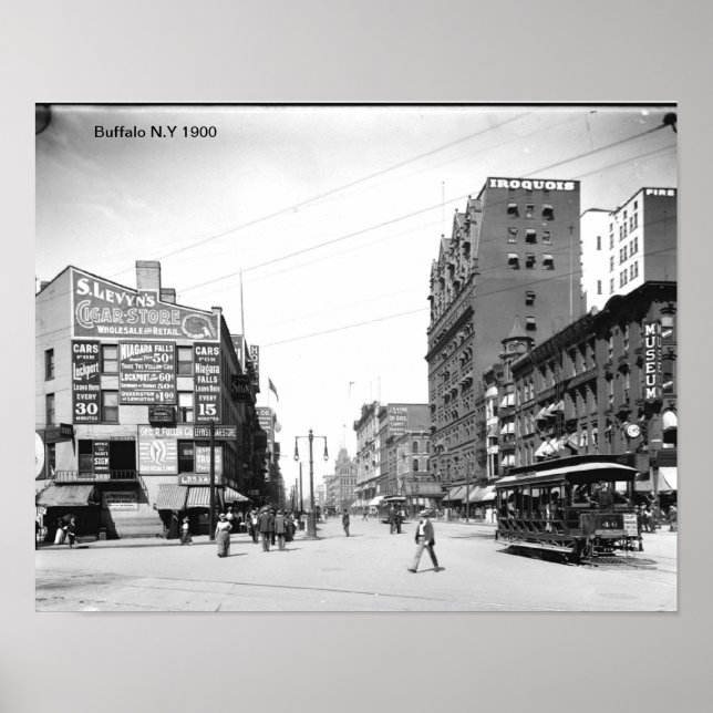 Buffalo N.Y Print (Front)