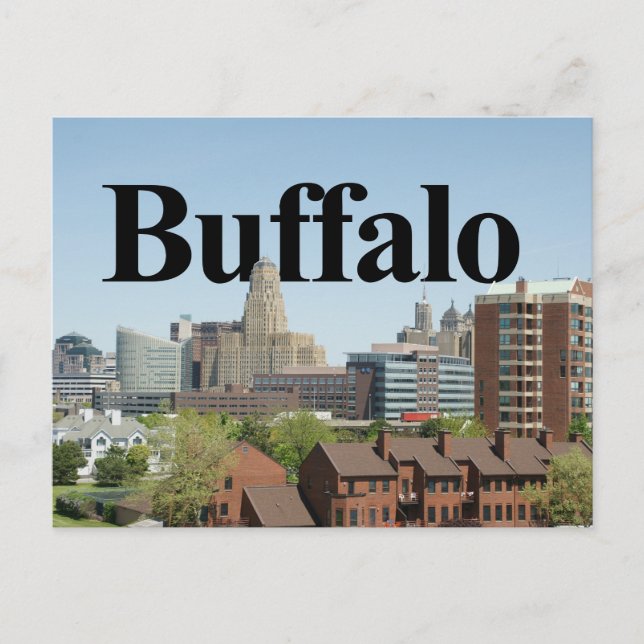Buffalo New York Skyline with Buffalo in the Sky Postcard (Front)