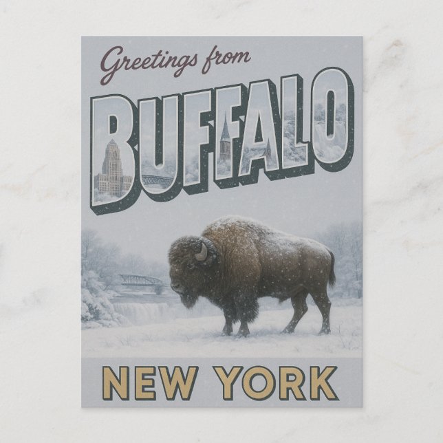 Buffalo New York Winter Postcard (Front)