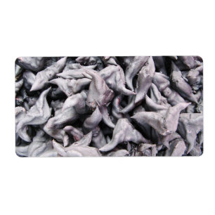 Buffalo Nuts - Water Caltrop