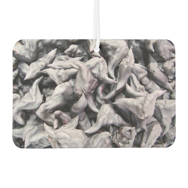 Buffalo Nuts - Water Caltrop Air Freshener (Front)