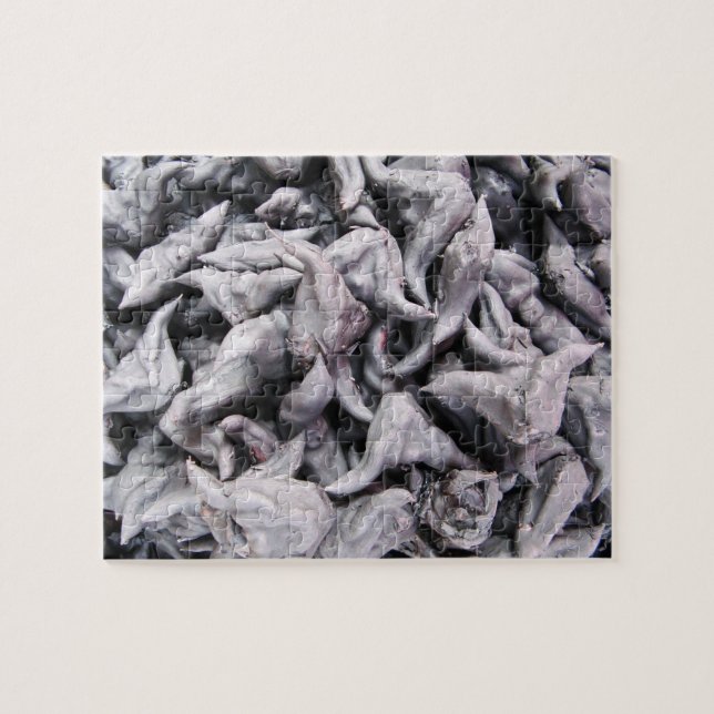 Buffalo Nuts - Water Caltrop Jigsaw Puzzle (Horizontal)