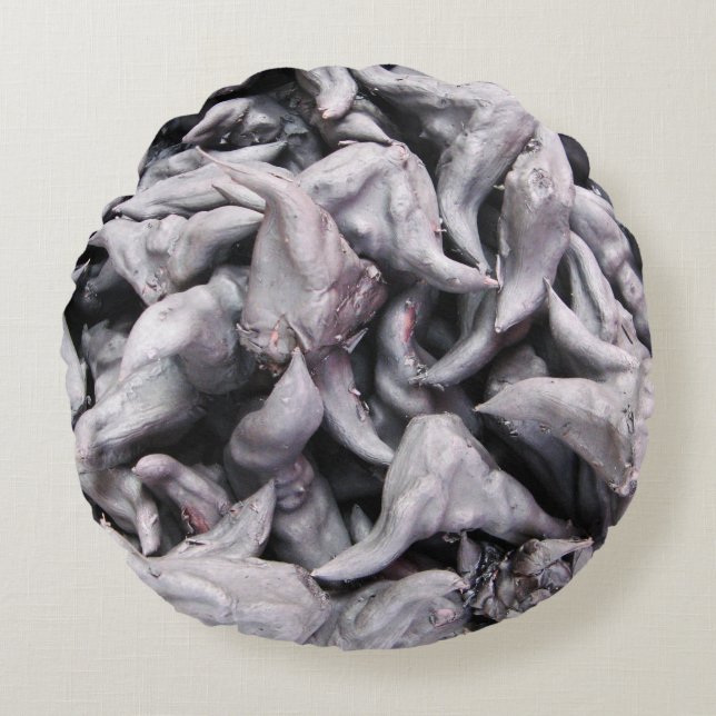 Buffalo Nuts - Water Caltrop Round Pillow (Front)