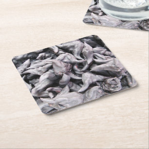 Buffalo Nuts - Water Caltrop Square Paper Coaster