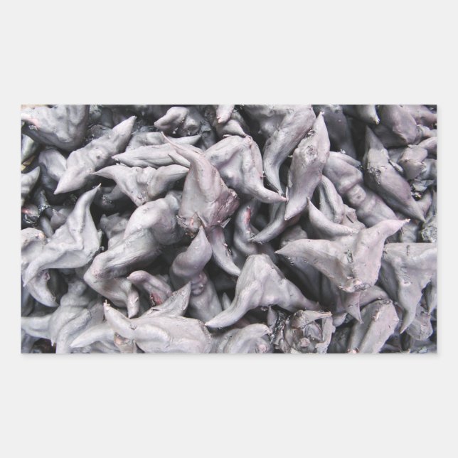 Buffalo Nuts - Water Caltrop Sticker (Front)