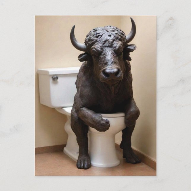 Buffalo on Toilet Postcard (Front)