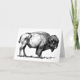 Buffalo or Bison greeting card
