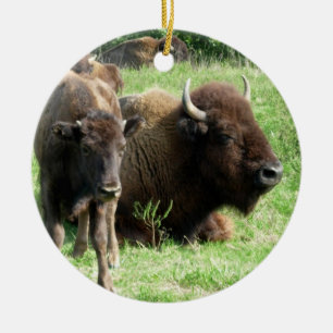 Buffalo peut ornement de veau