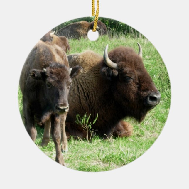 Buffalo peut ornement de veau (Devant)