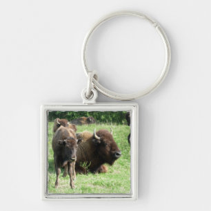 Buffalo Picture Keychain