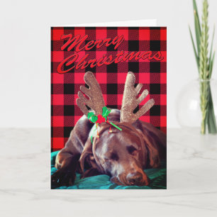 Buffalo Plaid Antler Wearing Labrador Photo Custom Holiday Card